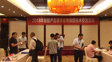 第十屆中國(guó)橡膠技術網矽橡膠行業膠友技術交流會